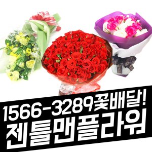 카네이션 장미 꽃다발 꽃바구니 꽃배달서비스