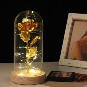 황금장미 카네이션 로즈 무드등 LED 유리돔 금장미 꽃