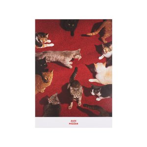 [티켓MD샵][알렉스프레거] 포스터(A2)_Cats