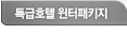 특급호텔 윈터패키지
