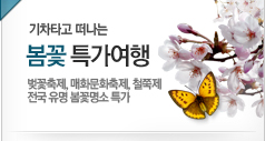 봄꽃 특가여행