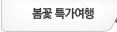 봄꽃 특가여행