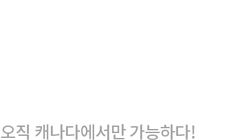 Special Canada 오직 캐나다에서만 가능하다!