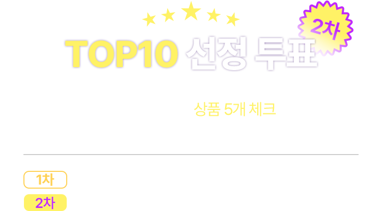 TOP10 선정 투표