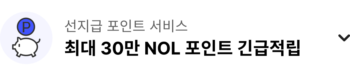 선지급 포인트