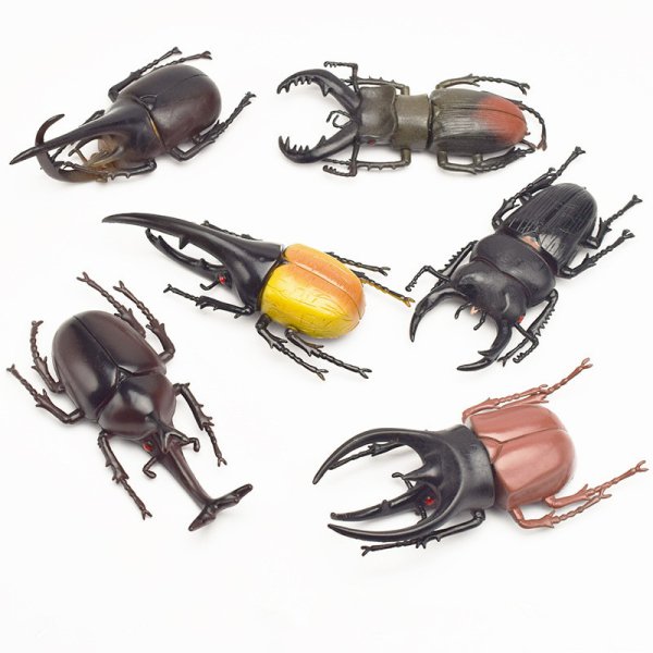 13Cm 시물레이션 사슴벌레 피규어 모형 장난감 곤충 모델 미니어쳐 교육 어린이 - 인터파크