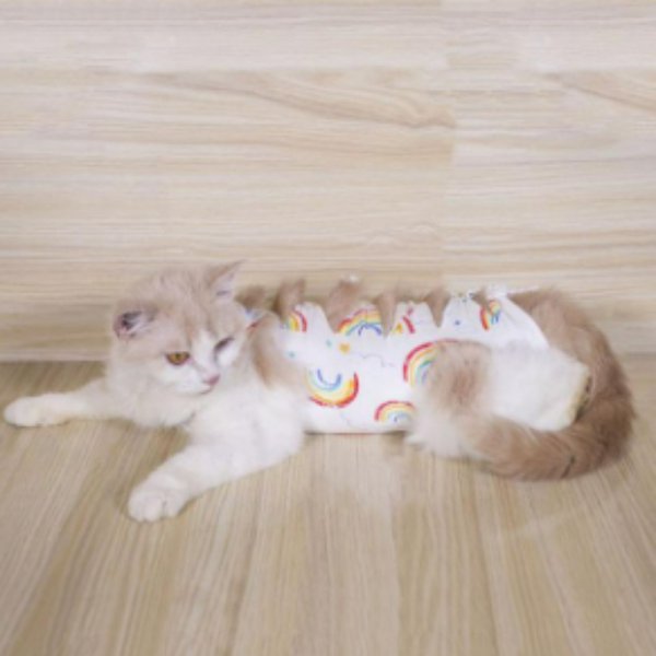 고양이 중성화수술 강아지 환묘복 수술복 - 인터파크 쇼핑