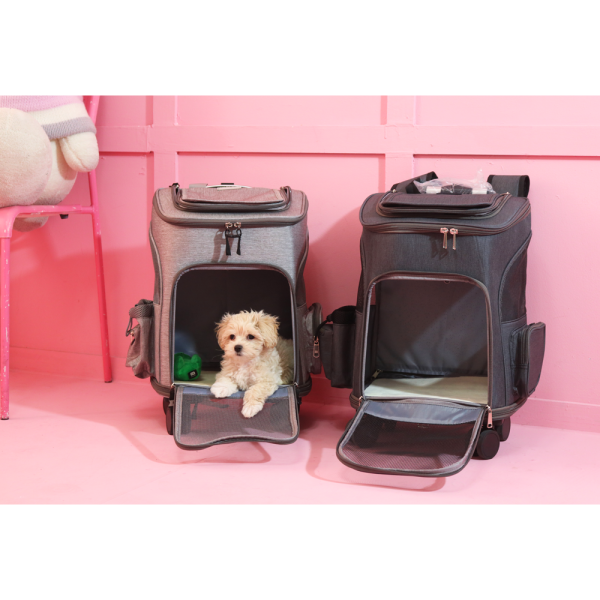 레투 레리롤리 강아지 캐리어 :: 백팩, 카시트로도 사용이 가능한 이동가방 추천